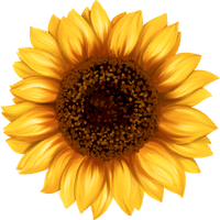 favicon del salon de eventos los girasoles